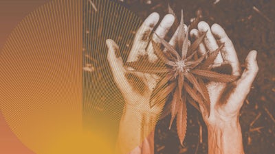 On Drug Use and Society