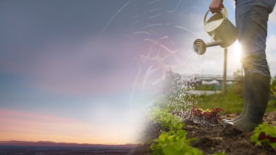 Cultiver son jardin intérieur