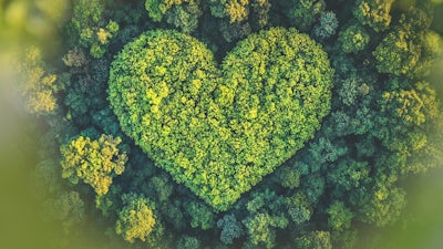 La gratitud y aprecio