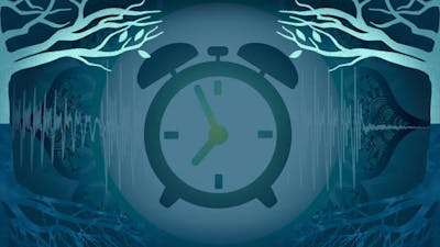Sound Throughout Time