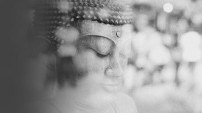 The Silent Mind