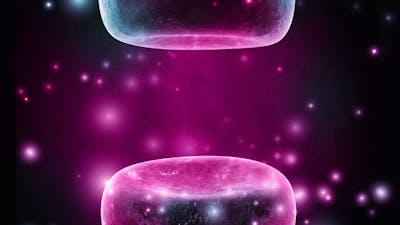 Neurons to Nirvana: The Great Medicines