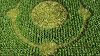 Barbara Lamb on Visitations