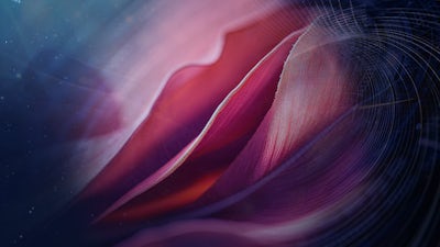 Movement & Visualization