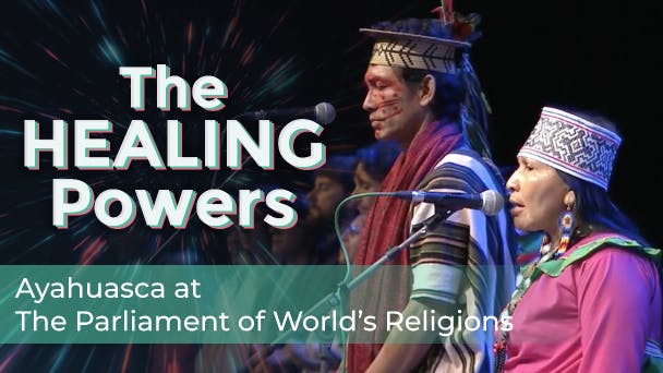 Ayahuasca at the Parliament of the World’s Religions