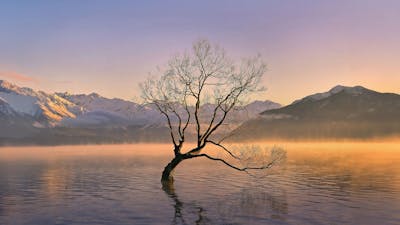 The Importance of Meditation