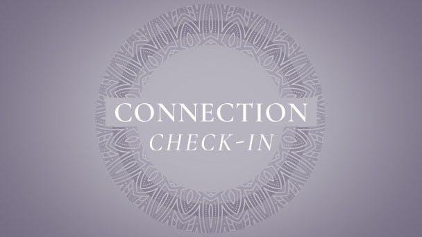 Connection: Check In