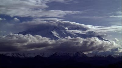 In Your Blessed Hands