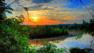 Trésor ancien de l'Amazonie