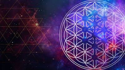 Tree of Life Activation Practice