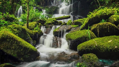 Intuitive Nature: Audio Meditation