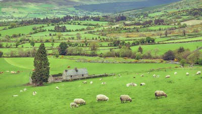 Michael Tsarion about the Irish Origins of Civilization (Part 1)