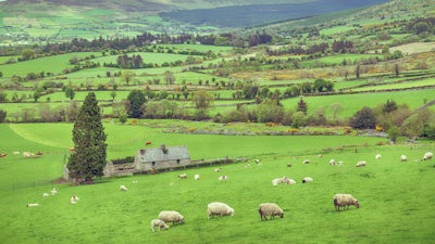 Michael Tsarion about the Irish Origins of Civilization (Part 1)