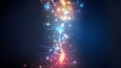 Neurociencia de la meditación