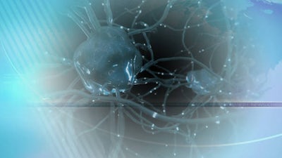 Neural Network of the Universe