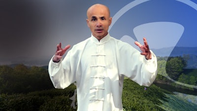 La forme 13 - forme entière