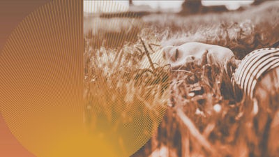 El dominio del espíritu