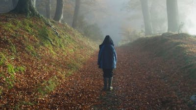 Missing 411: Part 1 with David Paulides