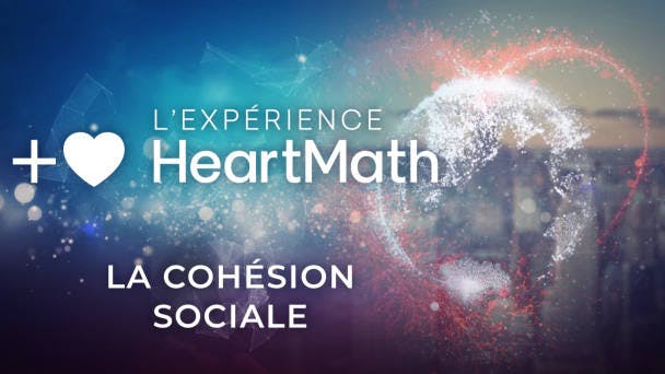 La cohésion sociale