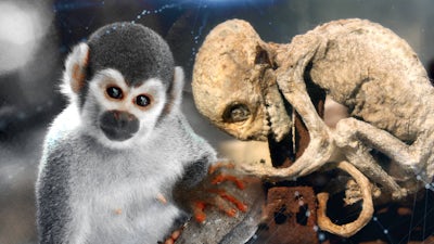 Descifrando las controversias