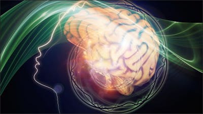 Channeling and the Collective Consciousness with Lee Harris