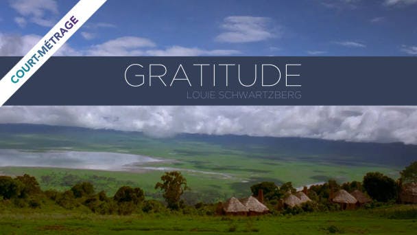 Gratitude