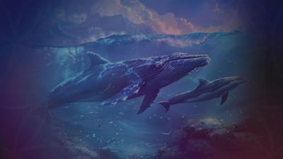 Dolphins and Whales