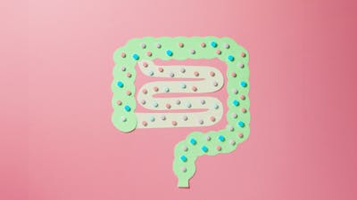 La microbiota intestinal