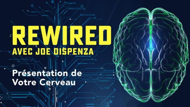 Présentation de Votre Cerveau