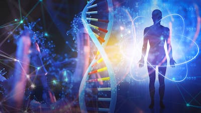 Origin of Life with Bruce Damer
