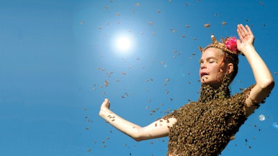 Queen Of The Sun: What Are The Bees Telling Us?