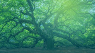 Geheimnisse für ein kraftvolles Leben