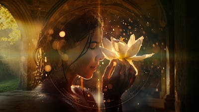 Clear Low Vibrations