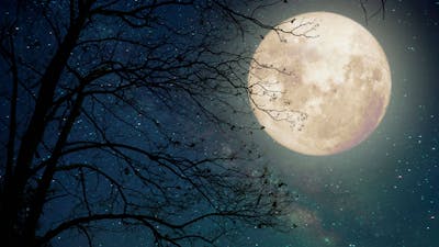 Jean Houston on our Personal Mythology