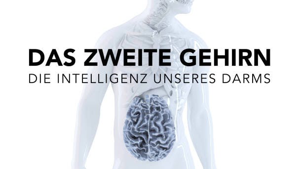 Das zweite Gehirn
