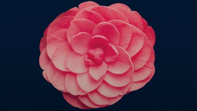 The Passion Test with Janet Attwood