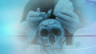 Early Human Discovery