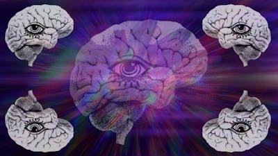 Pineal Gland