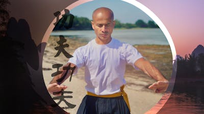 La forme complète de Shil Lim Tao