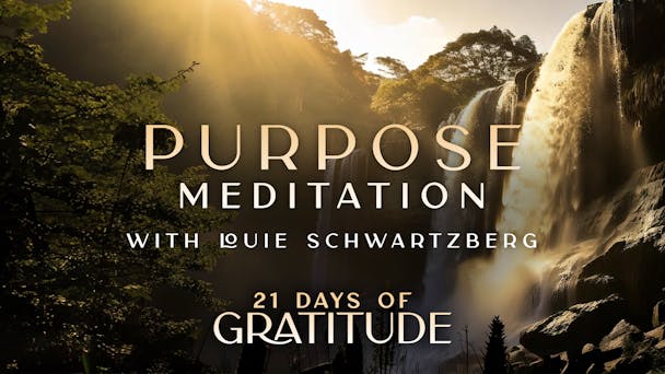 Purpose - Meditation 