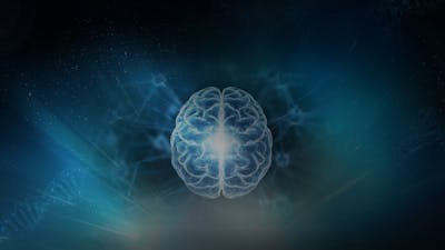 Session 3: The Biological Imperative