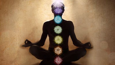 The Energy Surgeon with Sonja Grace