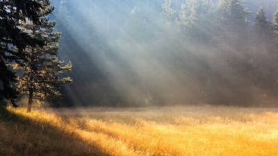 Meditación de relajación