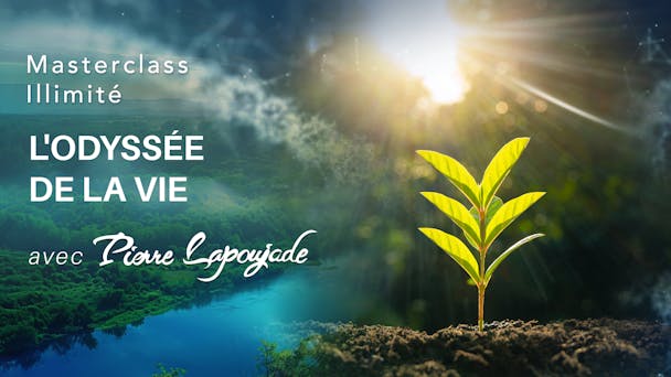 Le ventre : une odyssée de la vie