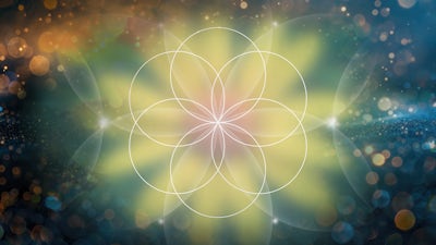 L’amour, l’énergie du vivant