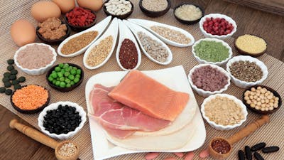 Aajonus Vonderplanitz on The Primal Diet
