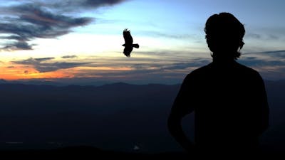 Journey of the Soul