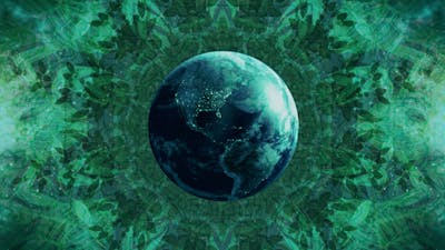 Eine psychedelische Gesellschaft