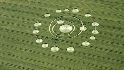 Freddy Silva on Crop Circles