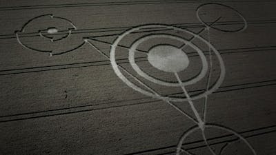 Crop Circles: Evidence of Intelligence